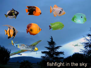4 Fishfight in the sky